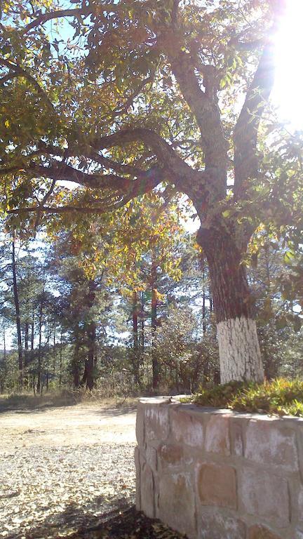 Refugio Cabanas Santa Isabelヴィラ 部屋 写真